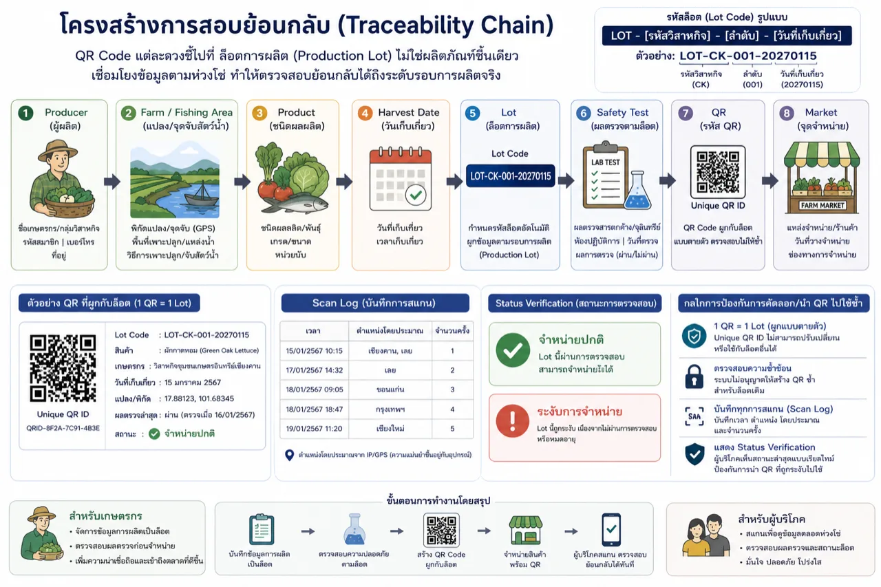แผนภาพโครงสร้างการสอบย้อนกลับ (Traceability Chain) — ห่วงโซ่ 8 ขั้น ผู้ผลิต → แปลง/จุดจับสัตว์น้ำ → ชนิดผลผลิต → วันเก็บเกี่ยว → ล็อต → ผลตรวจความปลอดภัย → QR → จุดจำหน่าย พร้อมตัวอย่างหน้า QR และ Scan Log